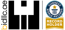 New BIDllc Site